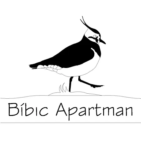 Bibic C Апартаменты *